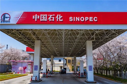 中國石化37周年慶 在能源領域譜寫華章，租賃市場見證發展足跡